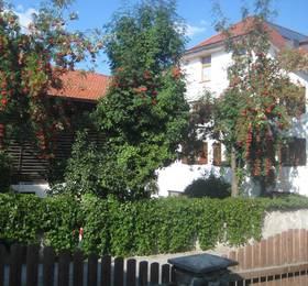 Anton und Edith Zimmermann  в Инсбруке