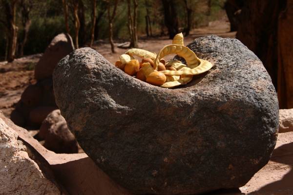 Ckamur Atacama Ethno Lodge  Чили, Антофагаста