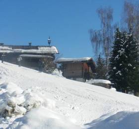 Туры в Appartementhaus Schmiedhof  в Австрии