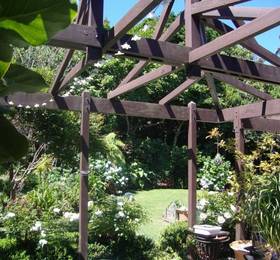Отдых в Clear View Bed & Breakfast  - Новая Зеландия, Окленд