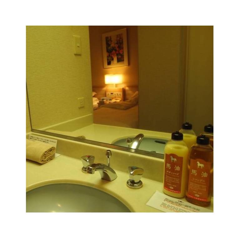Aso Resort Grandvrio Hotel 