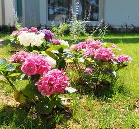 Resort Crvena Luka - Hotel  в Задаре
