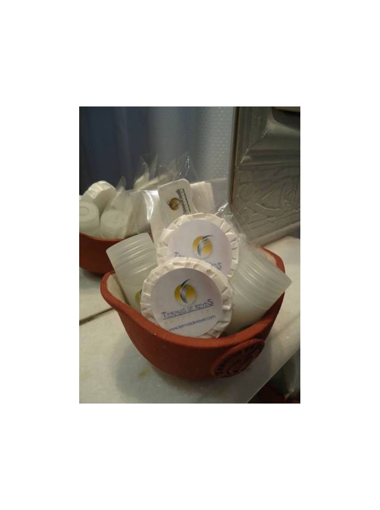 Hotel Spa Termas de Reyes 