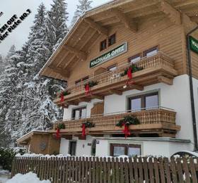Туры в Apartment Waldhaus Opitz в Австрии