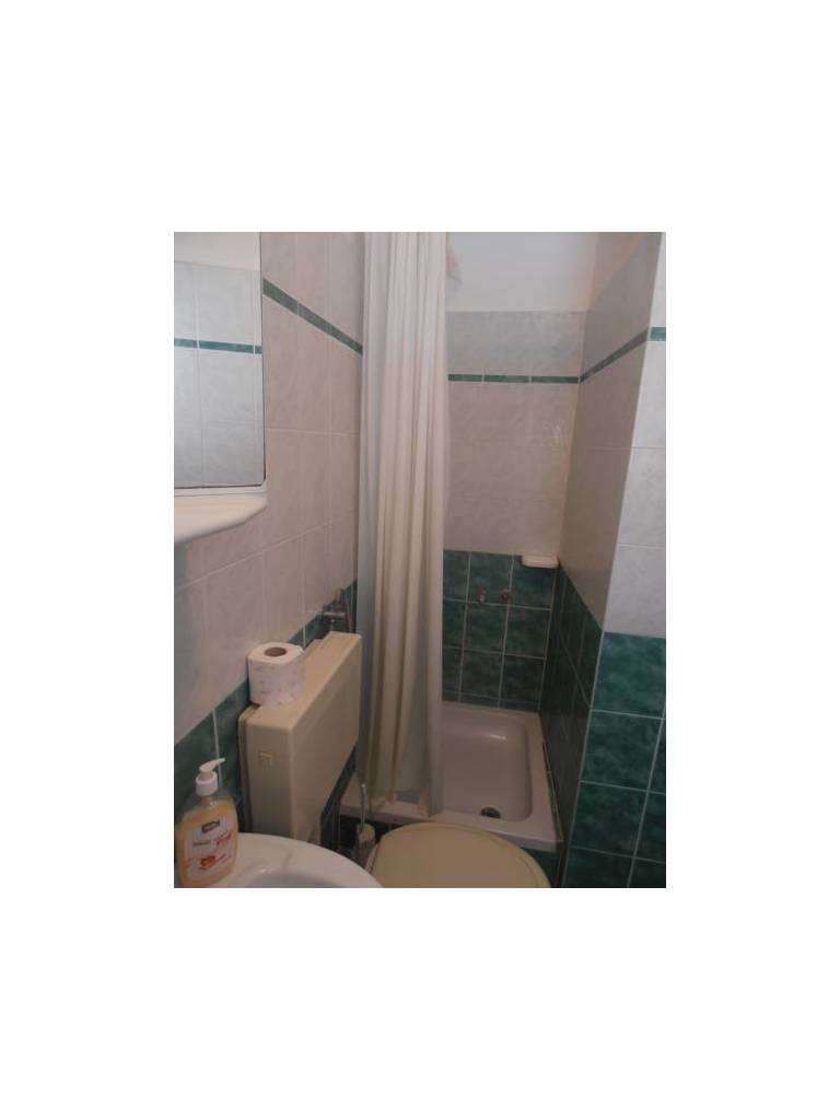 Apartments Sersic Baska 