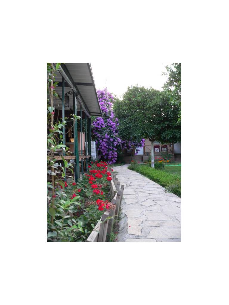 Chocolate Lodge Pension 