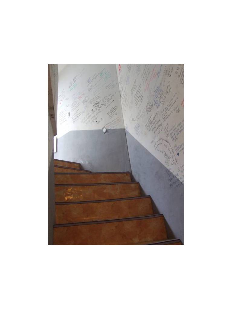 Danim Backpackers Daegu 