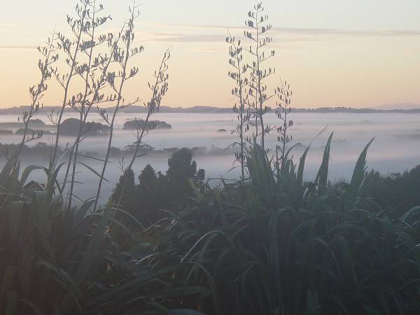 Matakana Country Lodge  4* Новая Зеландия, Окленд