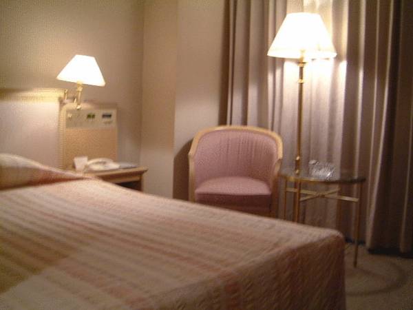 Palace Hotel Tachikawa 