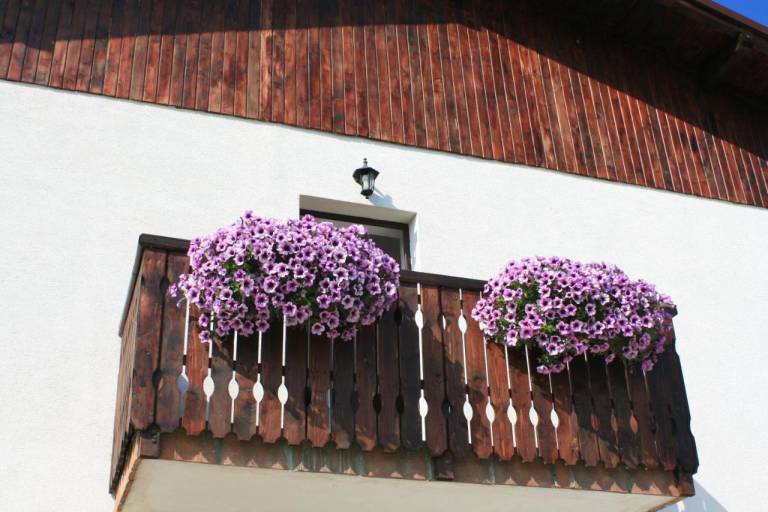 Serena Guesthouse Bran 