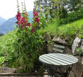 Отдых в Pension Chalet Berkana  - Швейцария, Берн