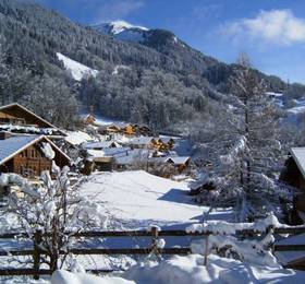 Pension Chalet Berkana  в Берне