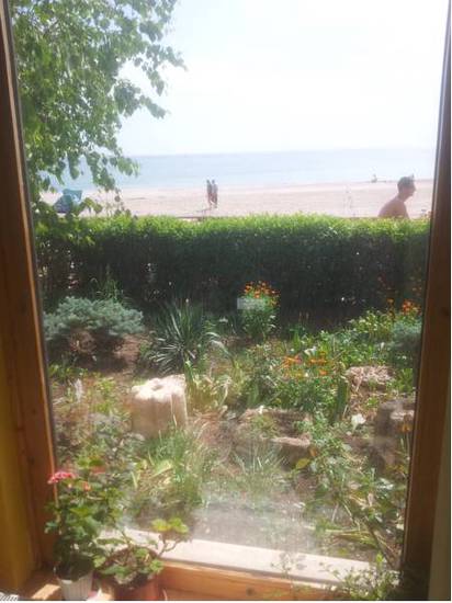 Pura Vida Beach Hostel  Румыния, Констанца