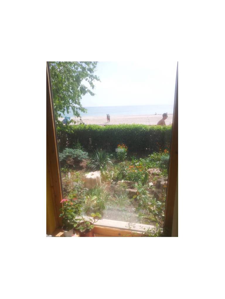 Pura Vida Beach Hostel 