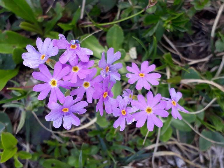 Pension Garni Maderer 