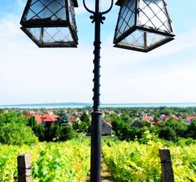 Отдых в Zenit Hotel Vendeghaz  - Венгрия, Балатон
