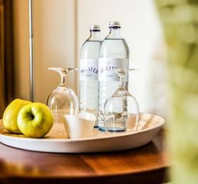Туры в Seehotel Sud в Австрии