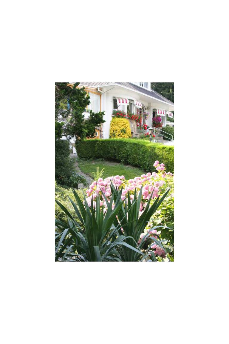 B&B La Source Fleurie 