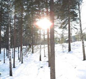 Отдых в Hunderfossen Cottages  - Норвегия, Лиллехаммер