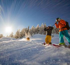 Familienhotel Steindl в Каринтии