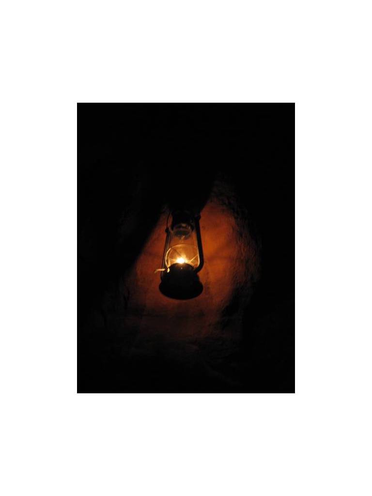 Bedouin Whispers Camp 