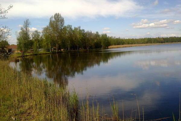 Vakantiehuis De Heide  Бельгия, Антверпен