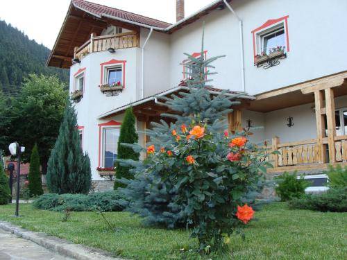 Pension Manoir Mignon 