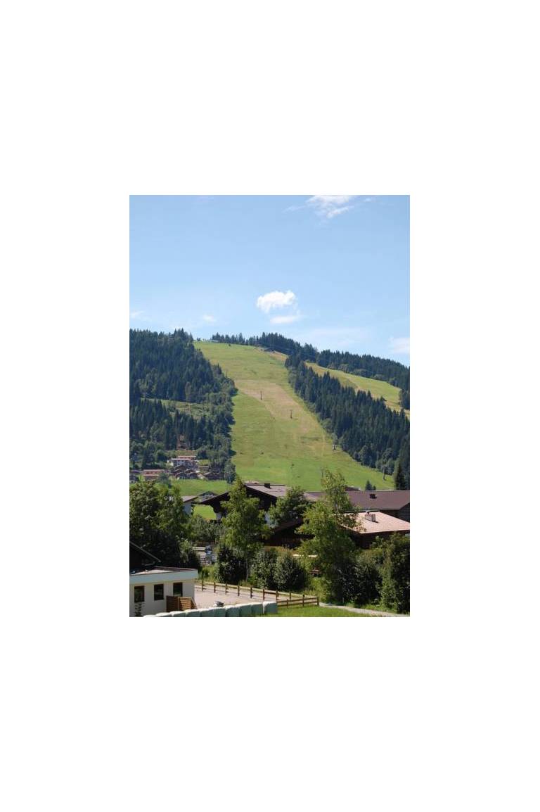 Alpen Chalet Jagdhof 