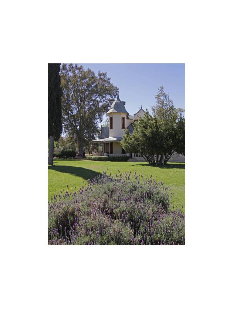 Villa Victoria Lodge 