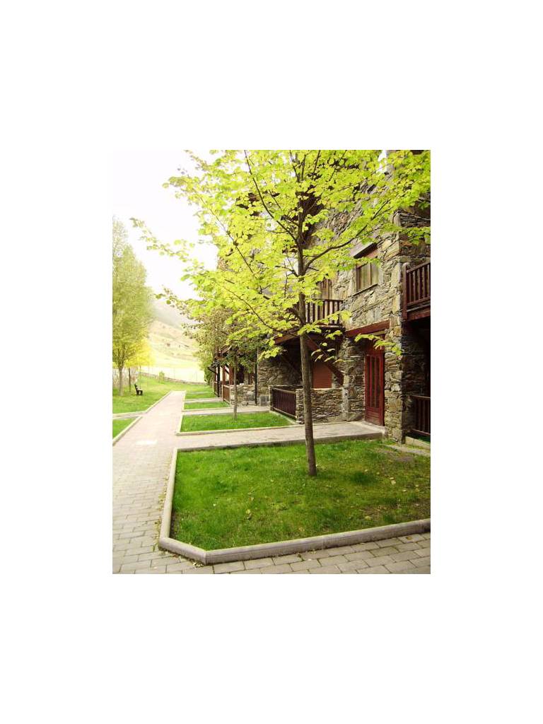Apartamentos Deusol 
