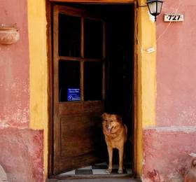 El Andariego Hostel  в Жужуй