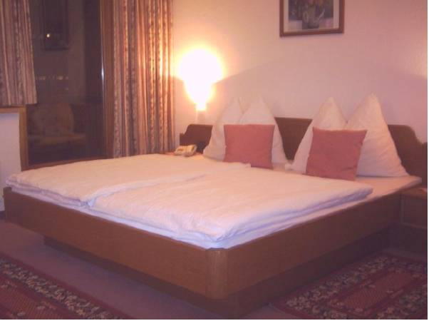 Alpinhotel Bergheim 