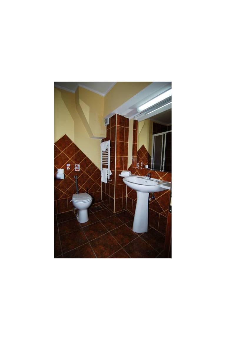 Hotel Silva Busteni 