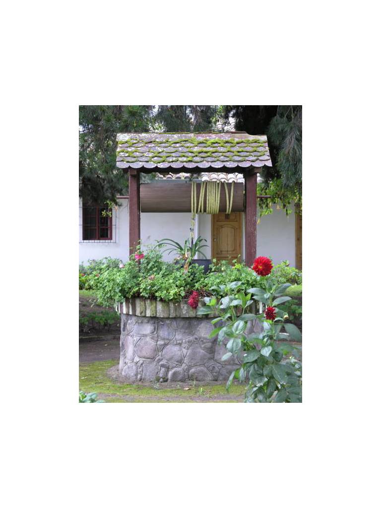 Hacienda La Cienega 
