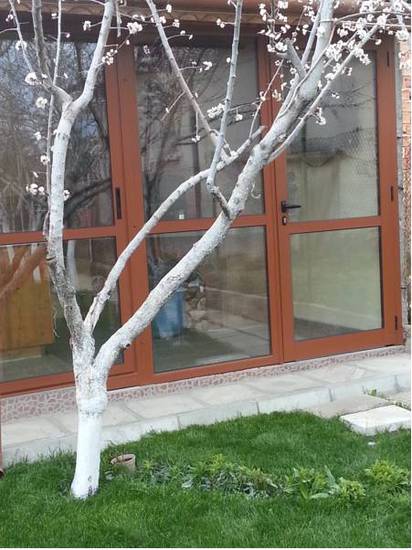 Vlasevi Guest House  2* Болгария, Пловдив