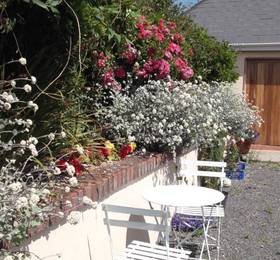 Отдых в Birchwood House B&B  - Ирландия, Уэксфорд