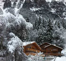 Chalet Waldborthus  в Берне