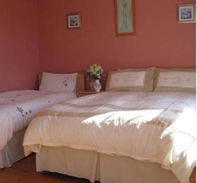 Ashbrook House B&B  в Килкенни