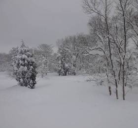 Resort Inn Tsubasa  в Ниигате