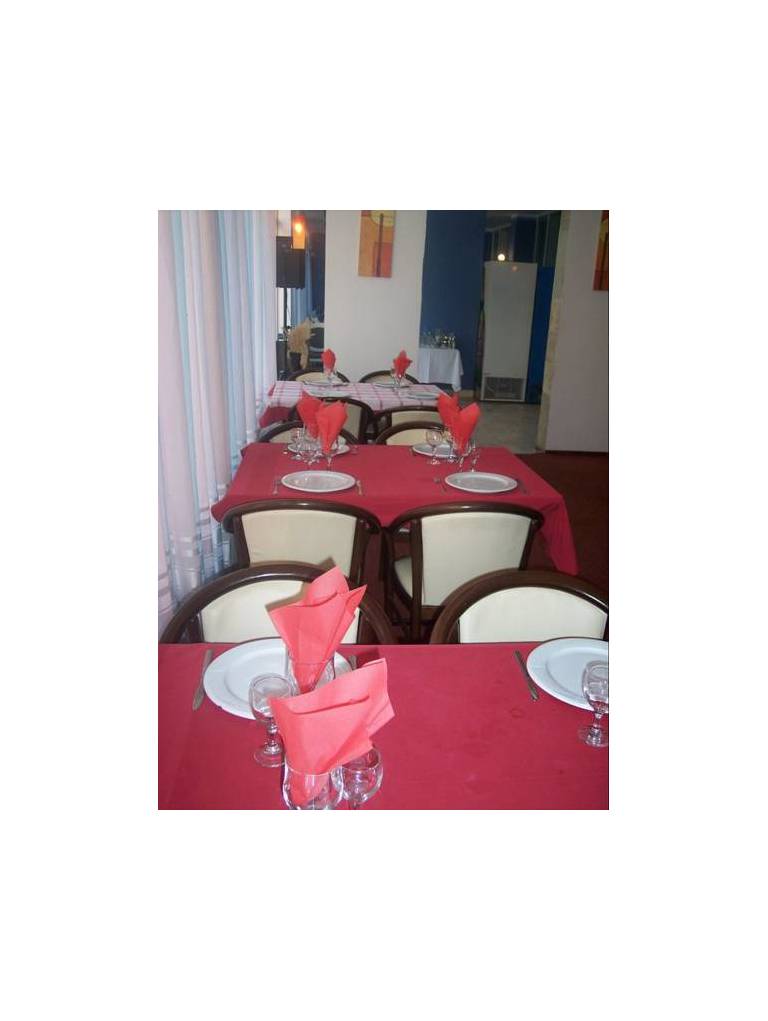 Hotel Parc Moneasa 