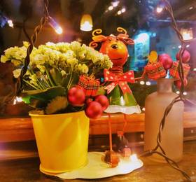 Trattoria Al Gallo  в Брашове