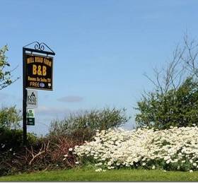 Туры в Mill Road Farm B&B  в Ирландии