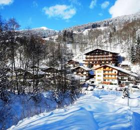 Отдых в Pension Alpensport  - Австрия, Зальцбург