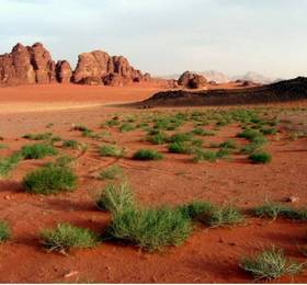 Bedouin House Camp  в Акабе