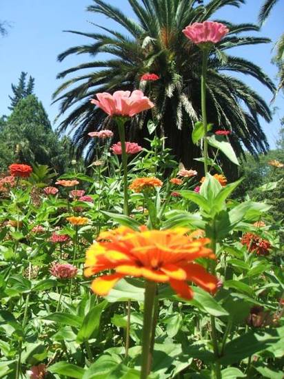 Finca La Colorada  3* Аргентина, Жужуй