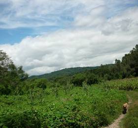 Туры в Finca La Colorada  в Аргентине