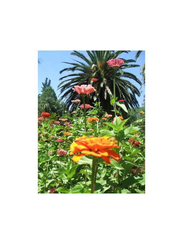 Finca La Colorada 