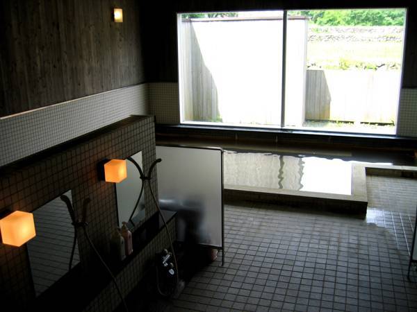 Shakespeare Hotel  3* Япония, Нагано
