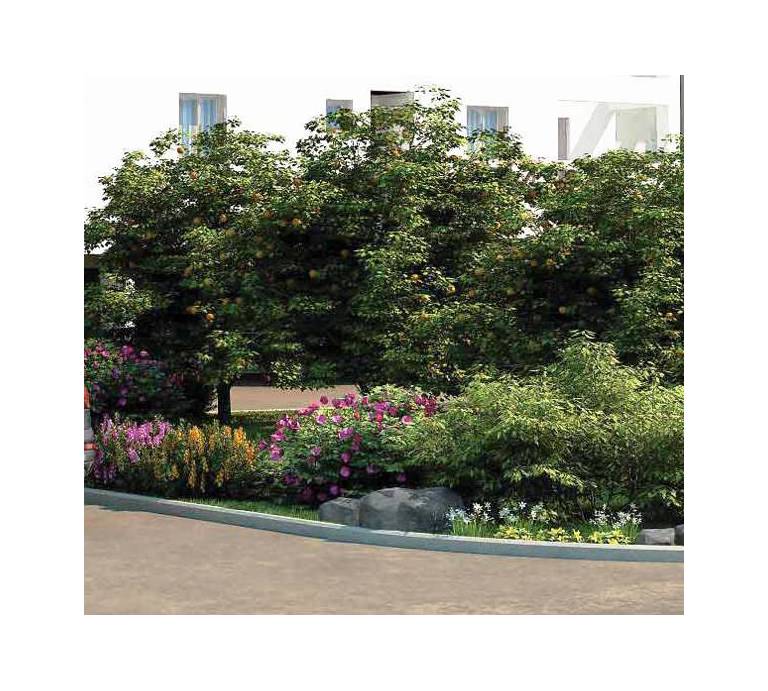 High View Gardens