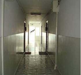 Apartament Narciz  в Констанце